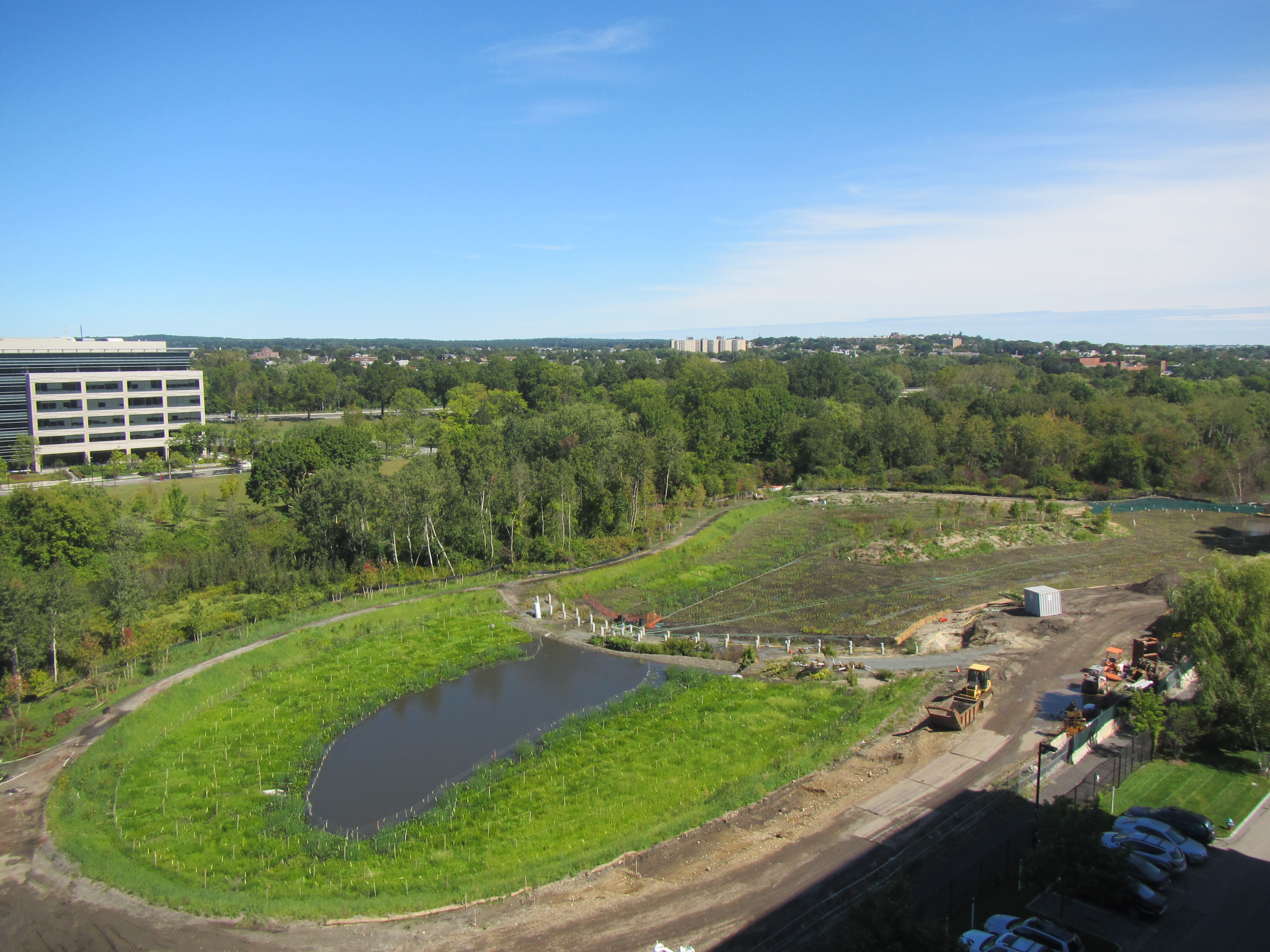 Main wetland basin looking west to east_September 19 2012